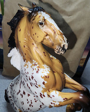 Load image into Gallery viewer, Breyer Adonis  PC 2023
