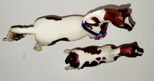 Load image into Gallery viewer, Breyer Chubasco &amp; Caravelle 2006 Limited Edition #1268 w/ Ribbon MINT!
