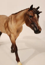 Load image into Gallery viewer, Breyer #715 Bet Yer Blue Boons, Champion Cutting Quarterhorse Mare
