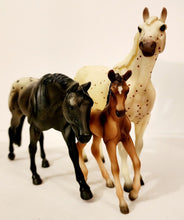 Load image into Gallery viewer, Breyer ‘Prince Plaudit’ Famous Sire Set #301137 Complete Classic Size
