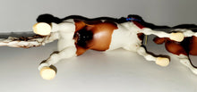 Load image into Gallery viewer, Breyer Chubasco &amp; Caravelle 2006 Limited Edition #1268 w/ Ribbon MINT!
