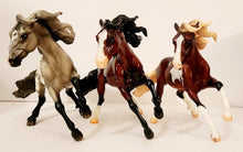 Load image into Gallery viewer, Breyer &quot;Shelby&quot; 2023 Collector Club - Gambler’s Choice
