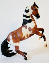 Load image into Gallery viewer, Breyer Picasso Pinto Spanish Mustang 2015-2018 #1742
