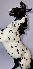 Load image into Gallery viewer, Breyer Model Horse #1332 Matrix Leopard Appaloosa Silver MINT
