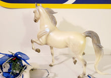 Load image into Gallery viewer, Breyer 2006 Snow Princess National Show Horse #700106
