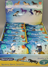 Load image into Gallery viewer, Breyer Mystery Horse Surprise: Handful of Horses - Series 3 (#6221)
