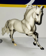 Load image into Gallery viewer, Breyer &quot;Nobel II&quot; Andalusian Stallion 2004
