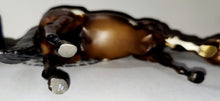Load image into Gallery viewer, Breyer Lady Phase + Standing Stock horse Foal Overo Paint set #1446
