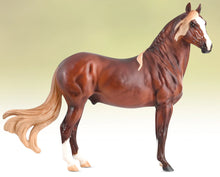Load image into Gallery viewer, Breyer 2023 Premier Club Cancion Glossy/Matte
