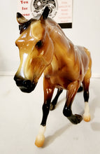 Load image into Gallery viewer, Breyer Slyder CC Glossy Buckskin Appy Hollywood Dun It
