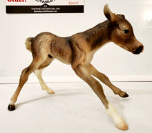 Load image into Gallery viewer, Breyer Le Fire #1324 color crazy Foal Only
