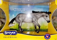 Load image into Gallery viewer, Breyer Cirrus 2021 Tractor Supply Limited Run Bobby Jo Mold TSC
