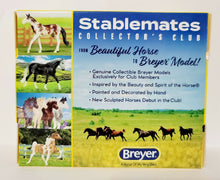 Load image into Gallery viewer, Breyer Florian 2020 Stablemates Collector&#39;s Club Glossy Chestnut Pinto

