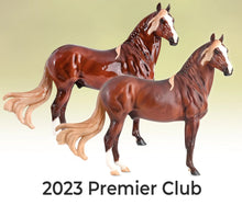 Load image into Gallery viewer, Breyer 2023 Premier Club Cancion Glossy/Matte
