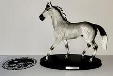 Load image into Gallery viewer, Breyer Resin Silver Lining JCP SR Horse, COA, Base # 1862 of 2000 #410100
