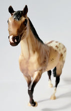 Load image into Gallery viewer, Breyer 2008 Breyer Breeds Of The World SIGNED DZ Weedo Appaloosa #1315 Char-o-Lot Ranch
