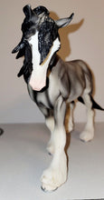 Load image into Gallery viewer, Breyer 2008 Breyerfest Tent Special Othello &quot;Saltire&quot; #711068 NM 1 of 1050.
