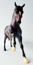 Load image into Gallery viewer, Breyer #700105 Della Robbia Renaissance 2005 Holiday Horse Christmas Andalusian
